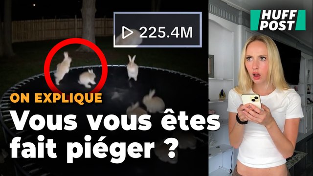 Pourquoi cette vidéo virale de lapins trop mignons sur un trampoline a de quoi faire peur