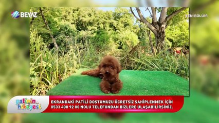 Patinin Hikayesi 2 Ağustos 2025