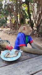 95. Mommy with Baby Monkey