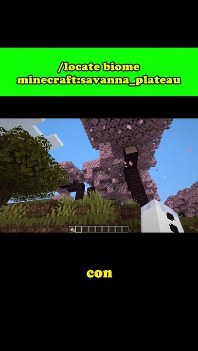 Bioma del lobo manchado comando minecraft