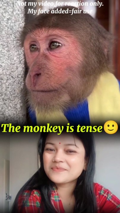 Worried monkey😊