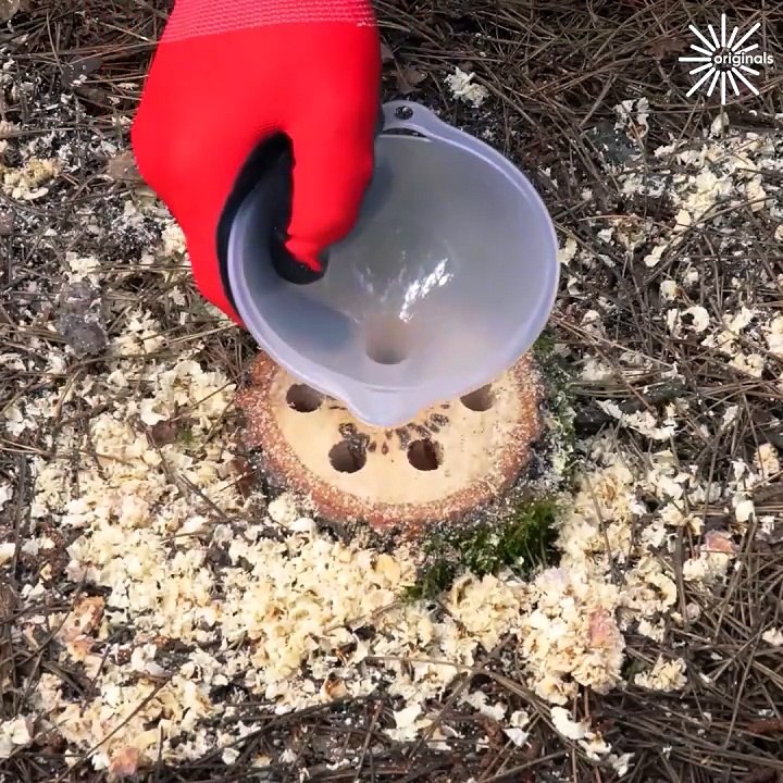 This is the easy way to remove a tree stump!