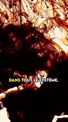 3 trucs de fou