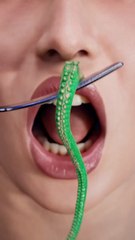 What Happens If You Eat A Live Octopus?! 🤢