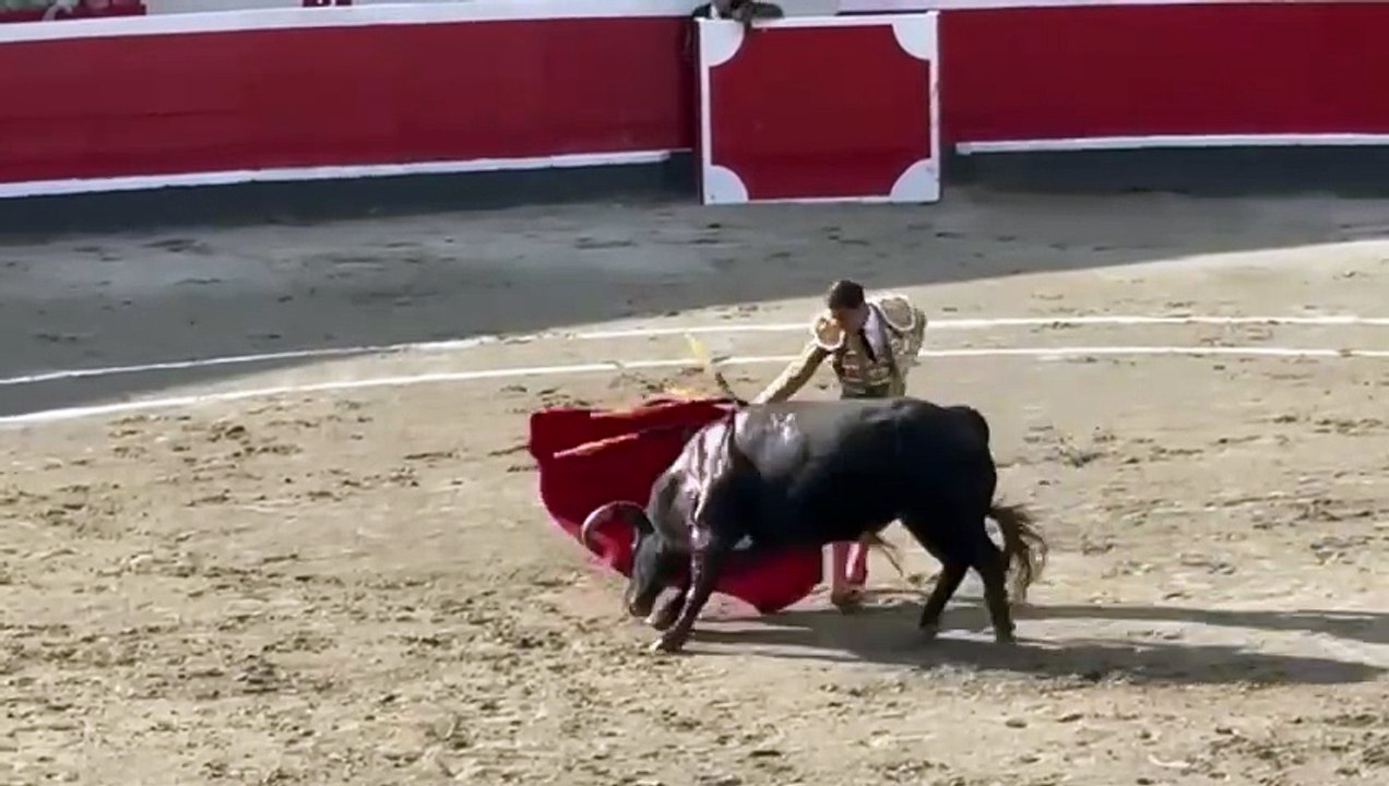 Asentada faena de Ureña al buen primero en Azpeitia.