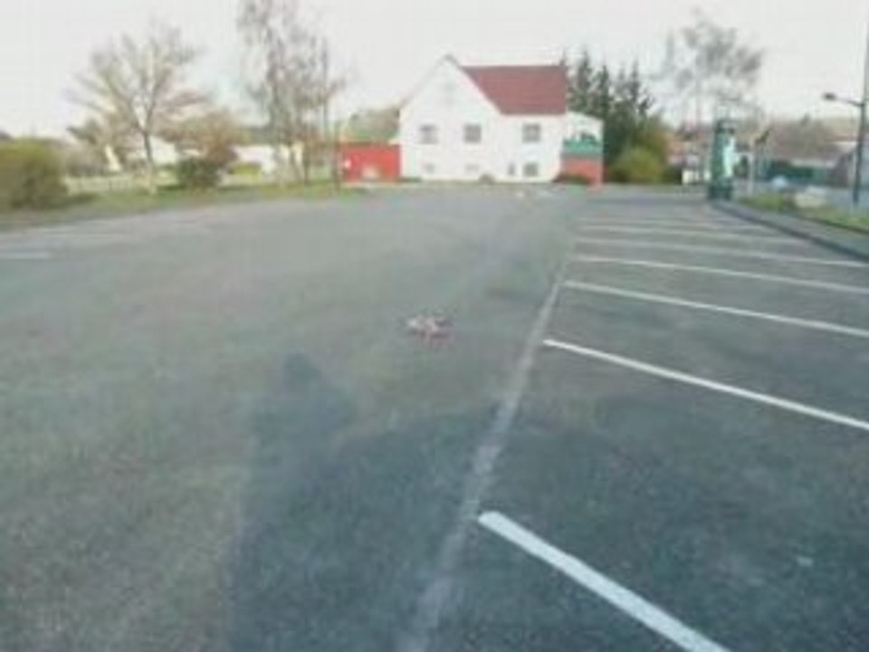 Projet KAUFFMANN 2007-2008