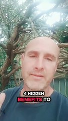 4 Hidden Benefits to an Autoresponder