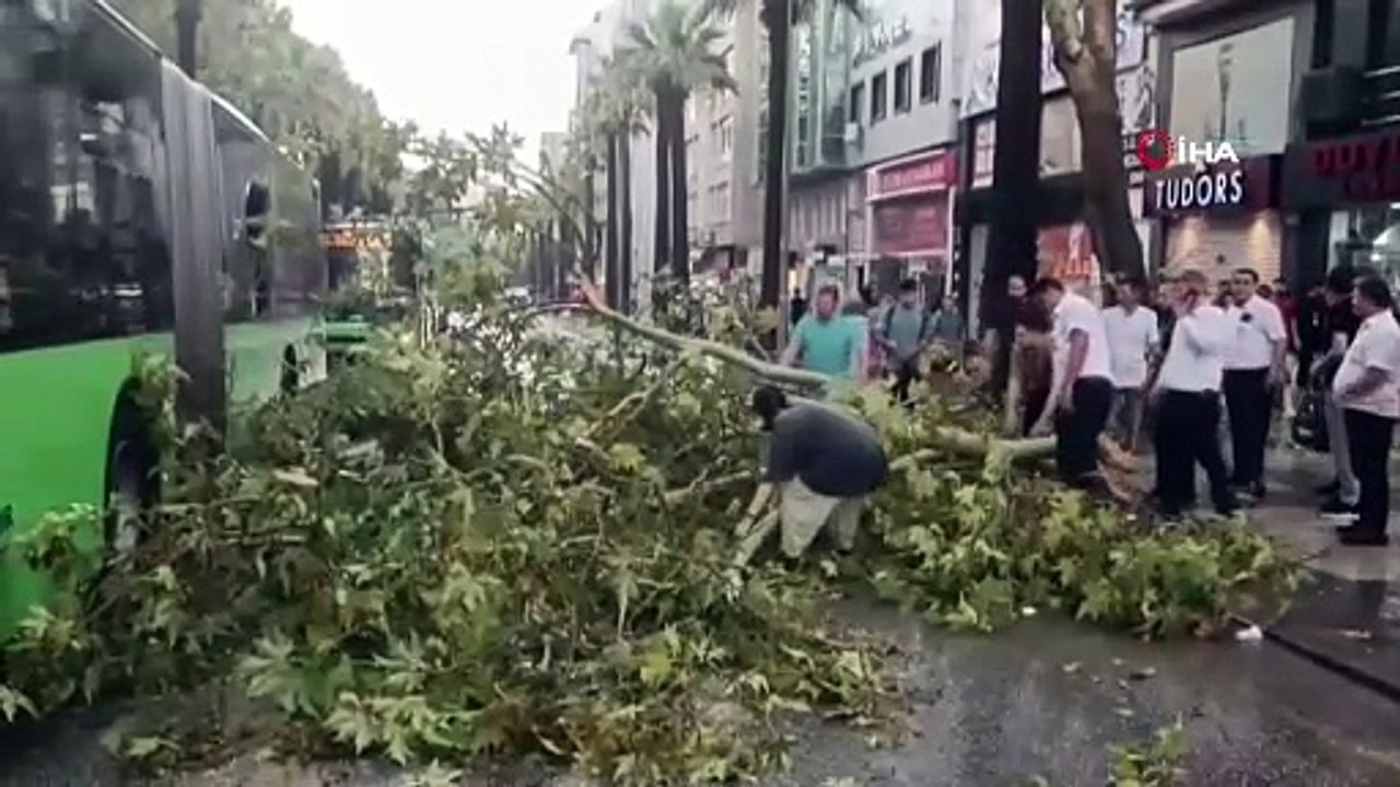 Üzerine ağaç devrilen belediye otobüsünde can pazarı