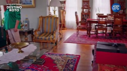 11. Destino Roto (Toprak Ile Fidan), en español