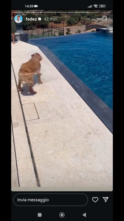 Fedez il tuffo di silvio