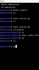 Go Lang HTTP Server, Frame By Frame Edit