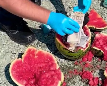 This Fruit Stand Looked Normal… Until Police Looked Closer