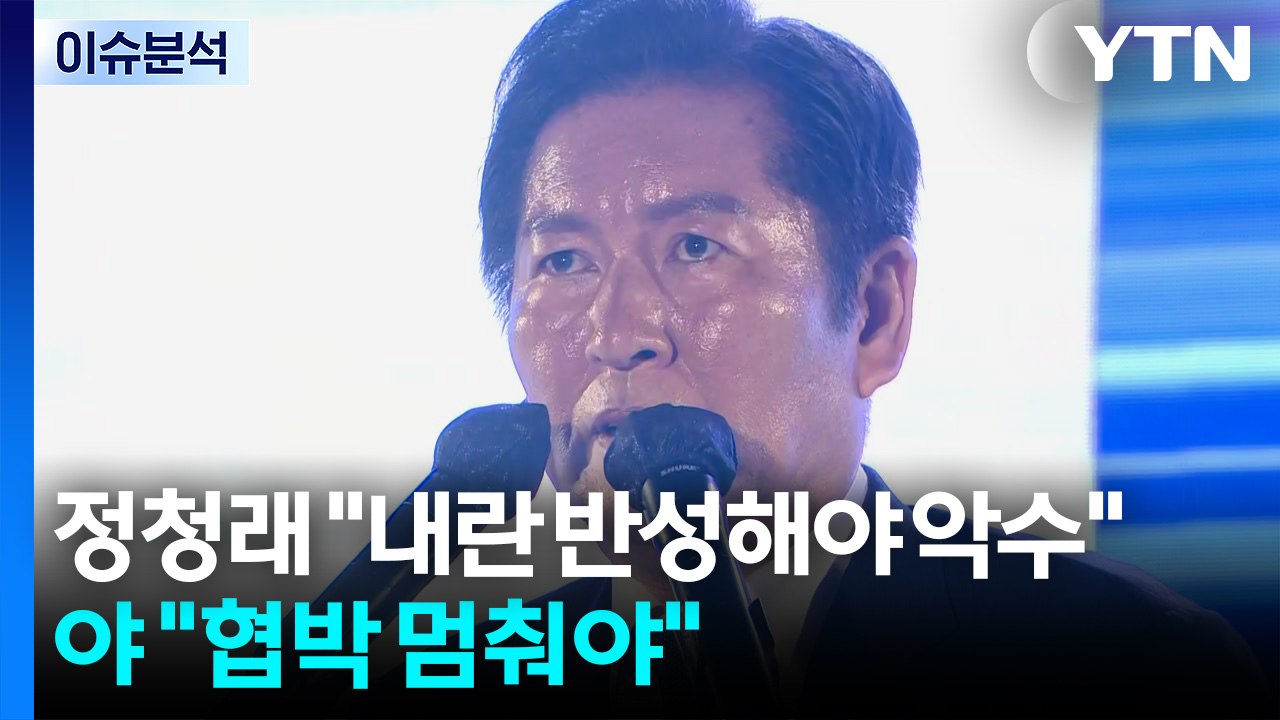 '강성 친명' 정청래, 민주당 새 대표로 선출 / YTN