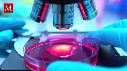 Laboratorios de bebés: el futuro de la reproducción humana