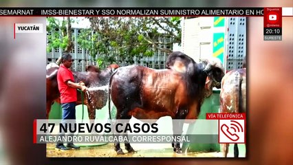 Milenio Noticias, con Rodrigo Rico, 08 de agosto de 2025