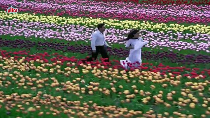 Bhanware Ne Khilaya Phool Video Song 4K _ Prem Rog _ Suresh Wadkar, Lata Mangeshkar _ Rishi Kapoor