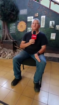 Árboles para la ciudad: ¿sabes cuál es la mejor especie para tu banqueta?