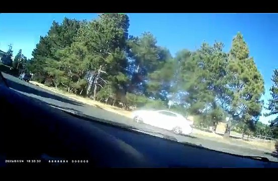 7/24/2025, (Targeted Individuals & Perp TV) My Global Group Associates & I Are PERPS Fishers