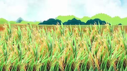 सब्जीवाला की सफलता की कहानी | Sabjiwala's Success Story