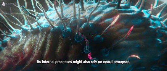 Spirit Cage: Incarnation Season 2 - Episode 7 (English)