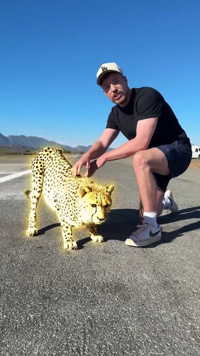 I Raced A Cheetah