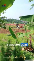 Terekam Kamera Warga Detik-detik Pesawat Jatuh di Ciampea Bogor, Mantan Kadispen AU Jadi Korban