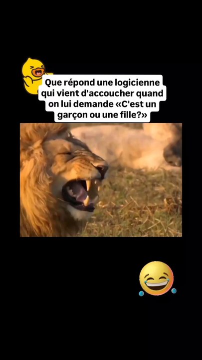 blague de logicien ça