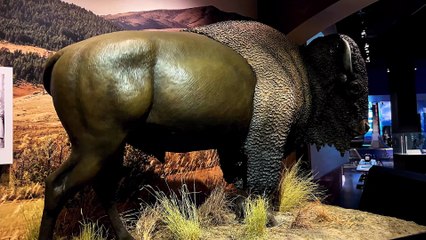 Grace at the Arch - St. Louis, Missouri - July 30, 2025