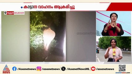 ചാലക്കുടി തഹസിൽ​​ദാറിന്റെ വാഹനത്തിന് നേരെ കാട്ടാന ആക്രമണം