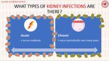 What types of kidney infections are there?