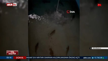 Kuruyan gölette mahsur kalan balıklar kurtarıldı