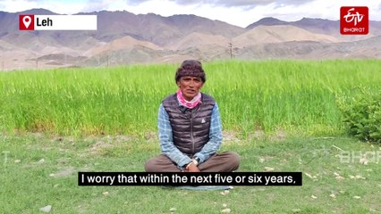 Livestock Traditions Fade In Ladakh’s Hanle Amid The Last Echoes Of A Vanishing Past