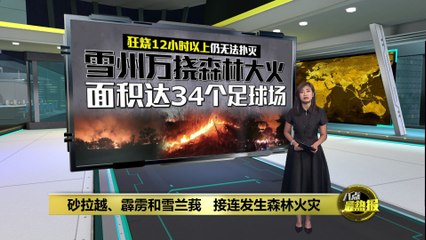 雪州万挠垦殖区突发火灾   大片森林夷为平地