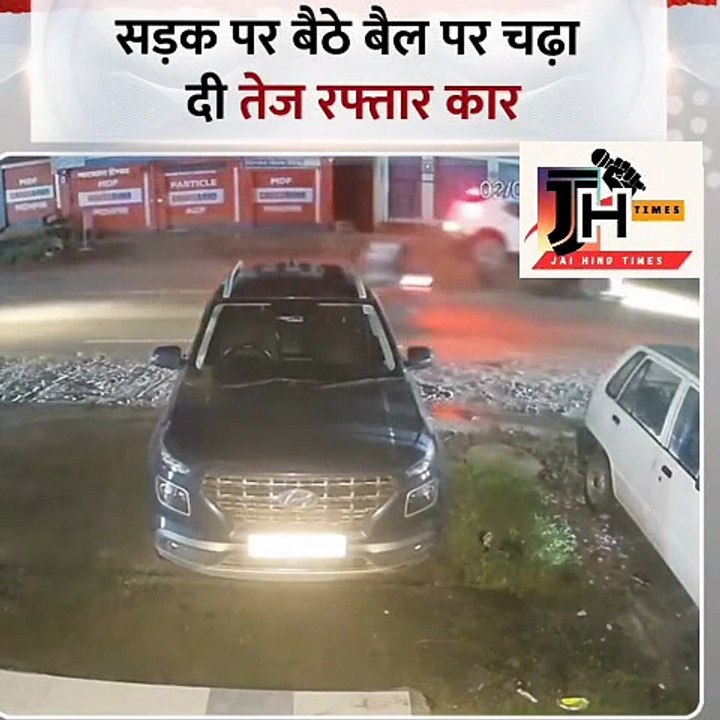 हिमाचल प्रदेश : सड़क पर बैठे बैल पर चढ़ा दी तेज रफ्तार कार