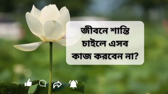 জীবনে শান্তি চান? এই ১২টি কাছ থেকে দূরে থাকুন Learning Time BD