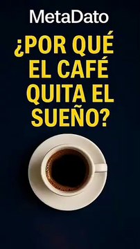 ¿Por qué el café te mantiene despierto La ciencia detrás del efecto - MetaDato (360p, h264)