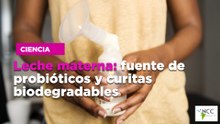 Leche materna: fuente de probióticos y curitas biodegradables
