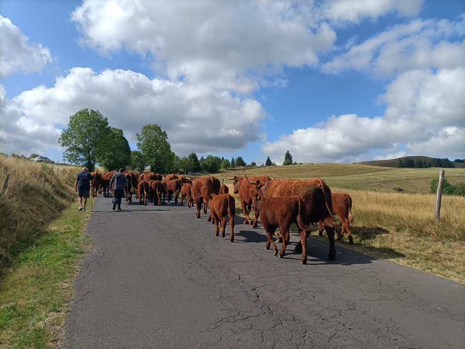 La fête de l'estive à Besse, dans le Puy-de-Dôme
