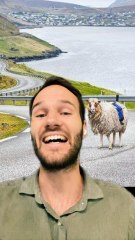 MOUTONS > STREET VIEW