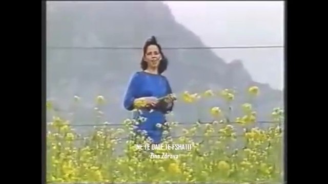 INTERVAL MUZIKOR | ZINA ZDRAVA - NE TE DALE TE FSHATIT