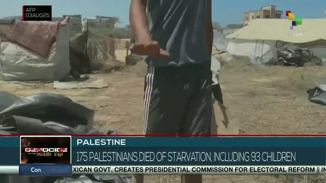 Palestine | 175 Palestinians died of starvation, including 93 children