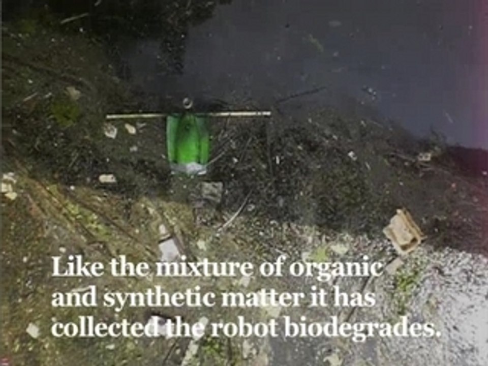 Pollution collector biodegradable robot