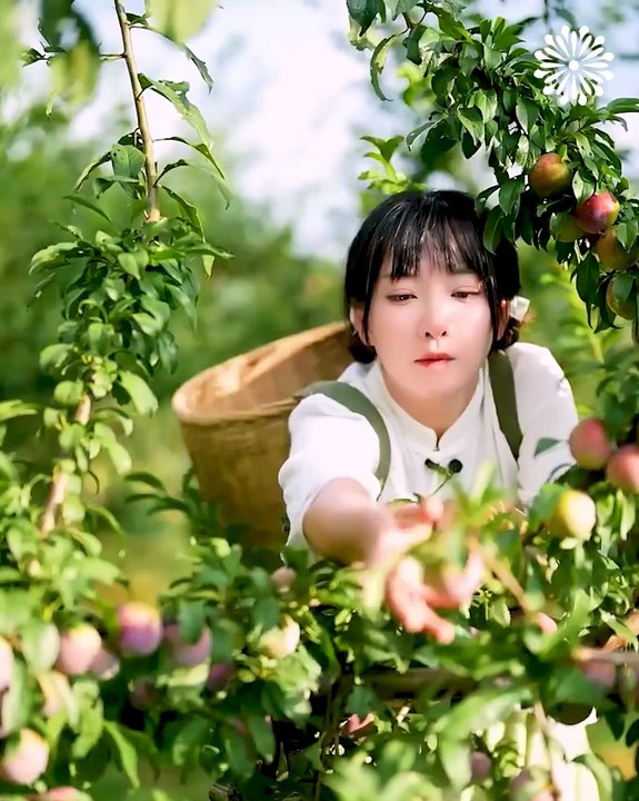 Nothing more beautiful than picking fresh fruit😍