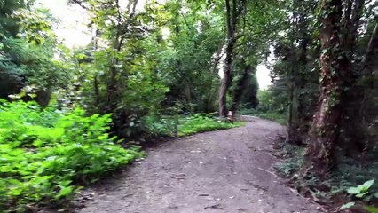 Brumath Parc du Sandgarten Incivilités du 3 Août 2025