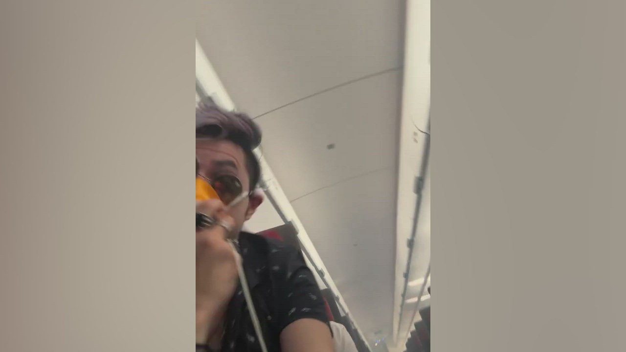 Pánico en un vuelo Madrid París: un ave chocó contra el avión y la escena es apocalíptica