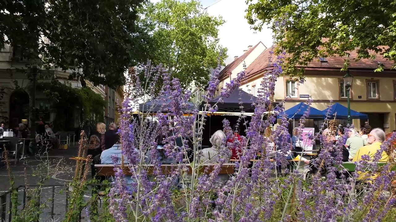 Please Peace Festival - Wien