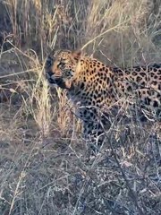 Ο Νίκος Μουτσινάς στην Αφρική 2