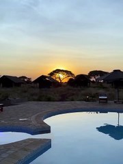 Αθηνά Οικονομάκου - Το βίντεο που δημοσίευσε με το ηλιοβασίλεμα στην Αφρική