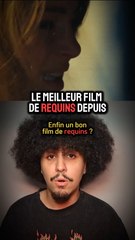 Dangerous Animals : Un bon film de requins ? 🦈