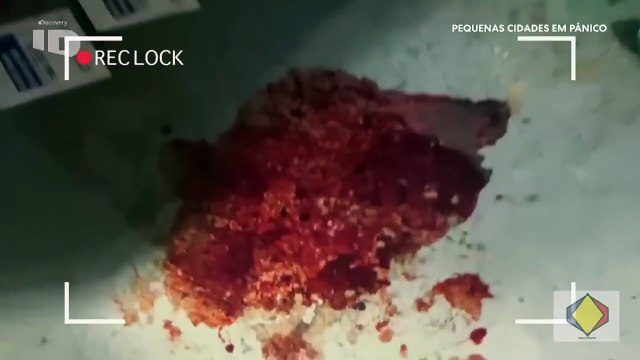 PEQUENAS CIDADES EM PÂNICO - T1 EP6 - INVESTIGAÇÃO DISCOVERY